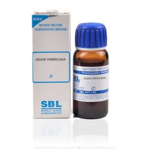 Agave Americana Homeopathy Mother Tincture Q